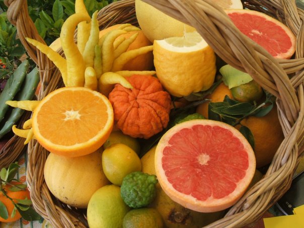 Zitrusfrüchte ohne Ende