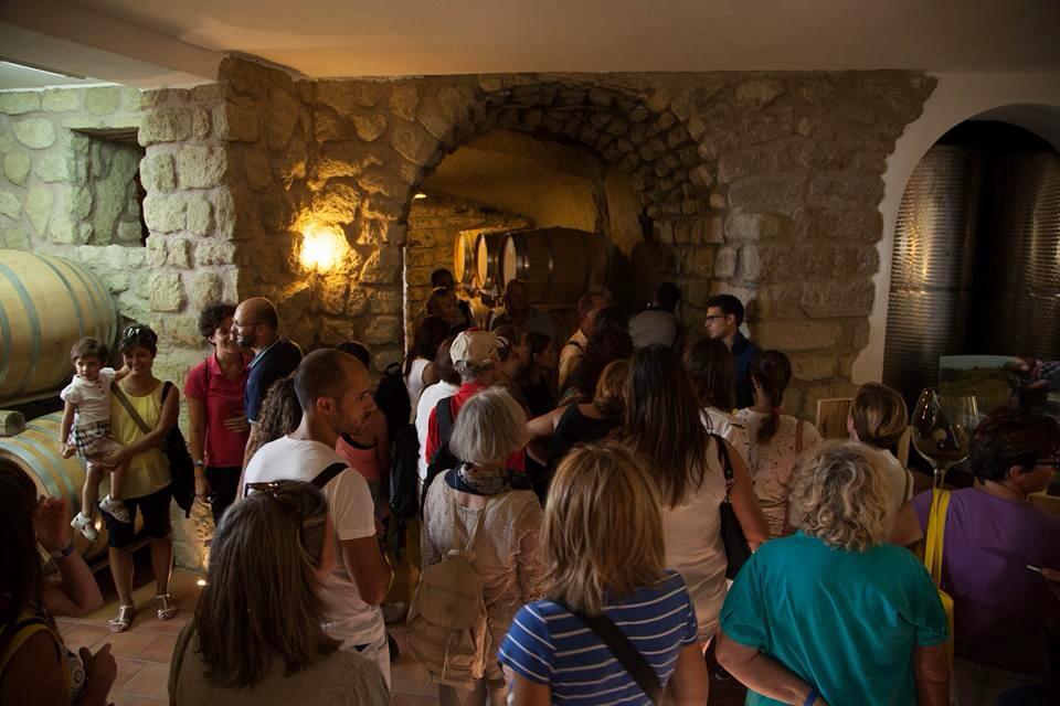 Andar per cantine 13.-20. September 2015