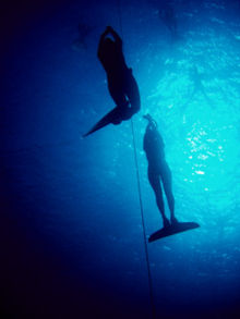 Wikipedia: Freitaucher beim Tieftauchen mit Monoflosse
