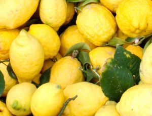 Alle lieben Zitronen