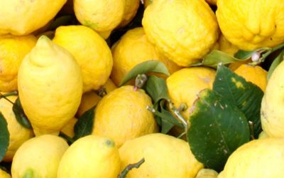 Das Land wo die Zitronen blühen