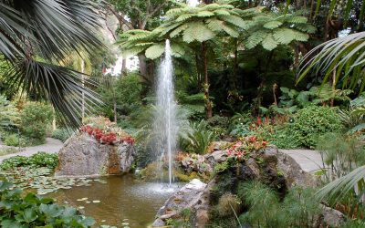 30 Jahre Botanischer Garten La Mortella