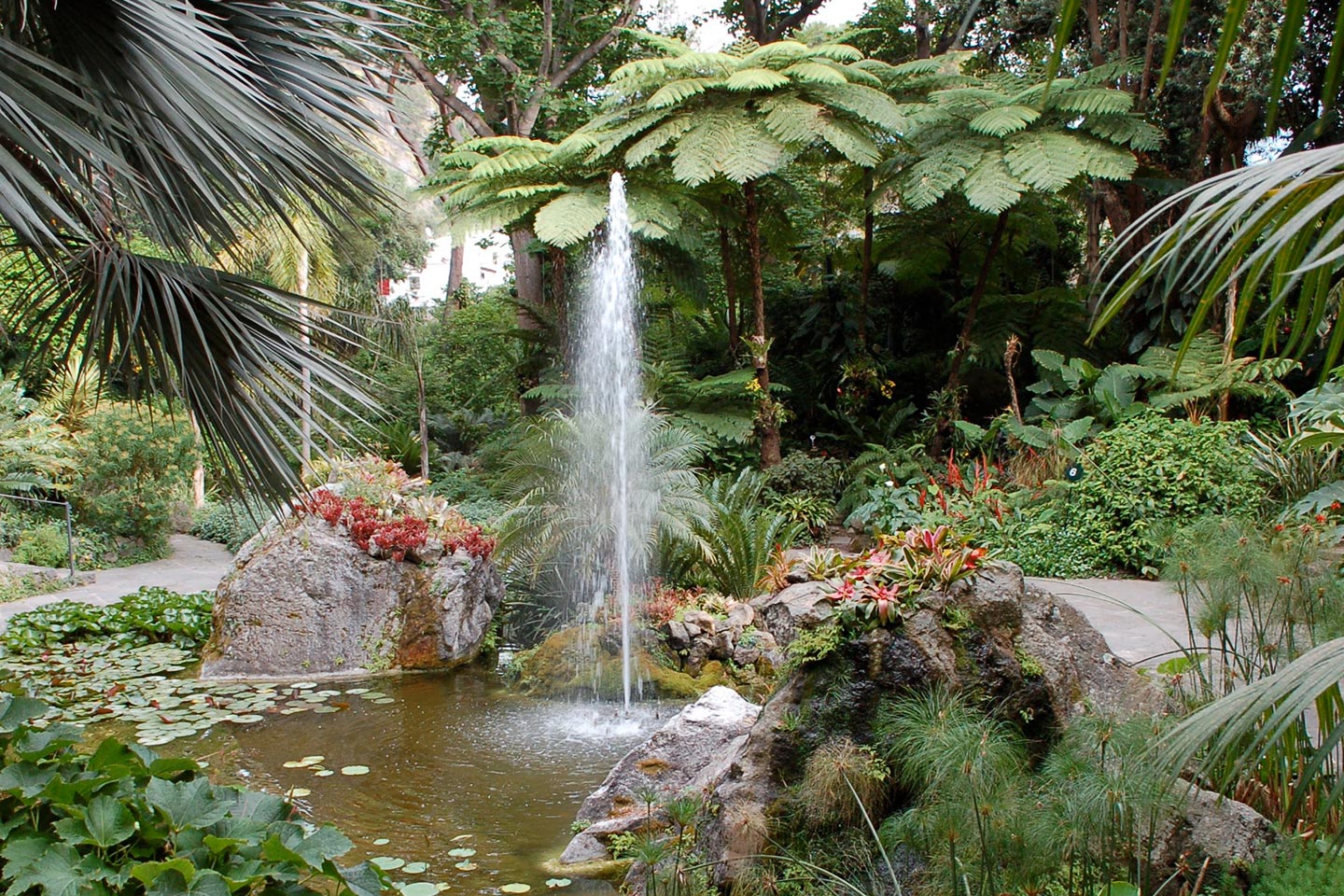 Pflanzenvielfalt im Mortella Garten auf Ischia