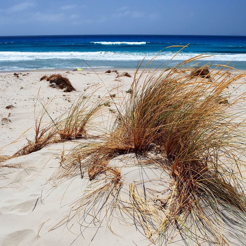 Urlaubsparadies Sardinien: Karibische Strände und irisches Grün